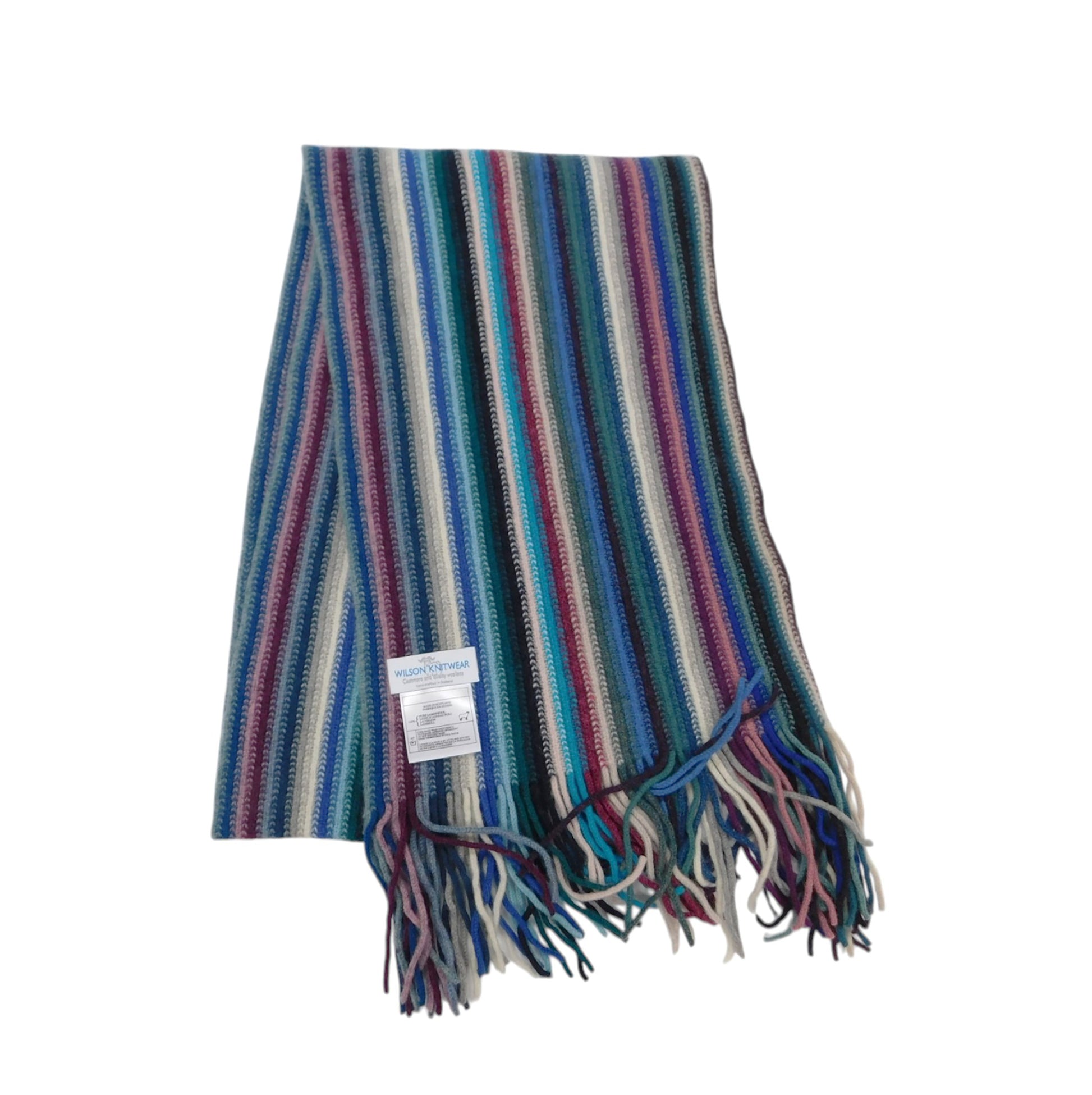 A striped knit scarf with fringed ends, featuring vertical stripes of blue, teal, purple, pink, and gray on a white background.