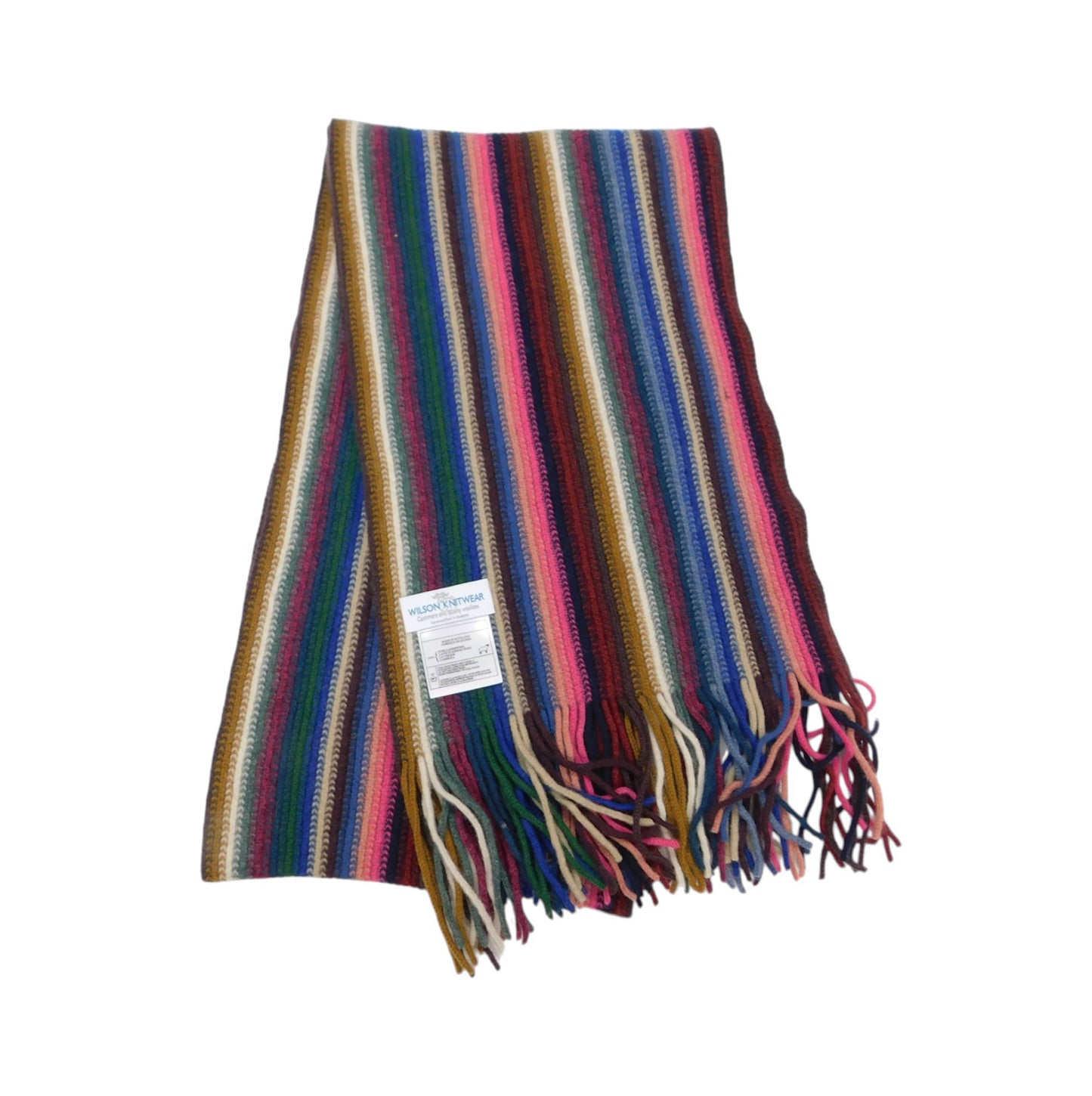 A multicolor striped knit scarf with fringe ends and a small white product tag, displayed on a plain white background.